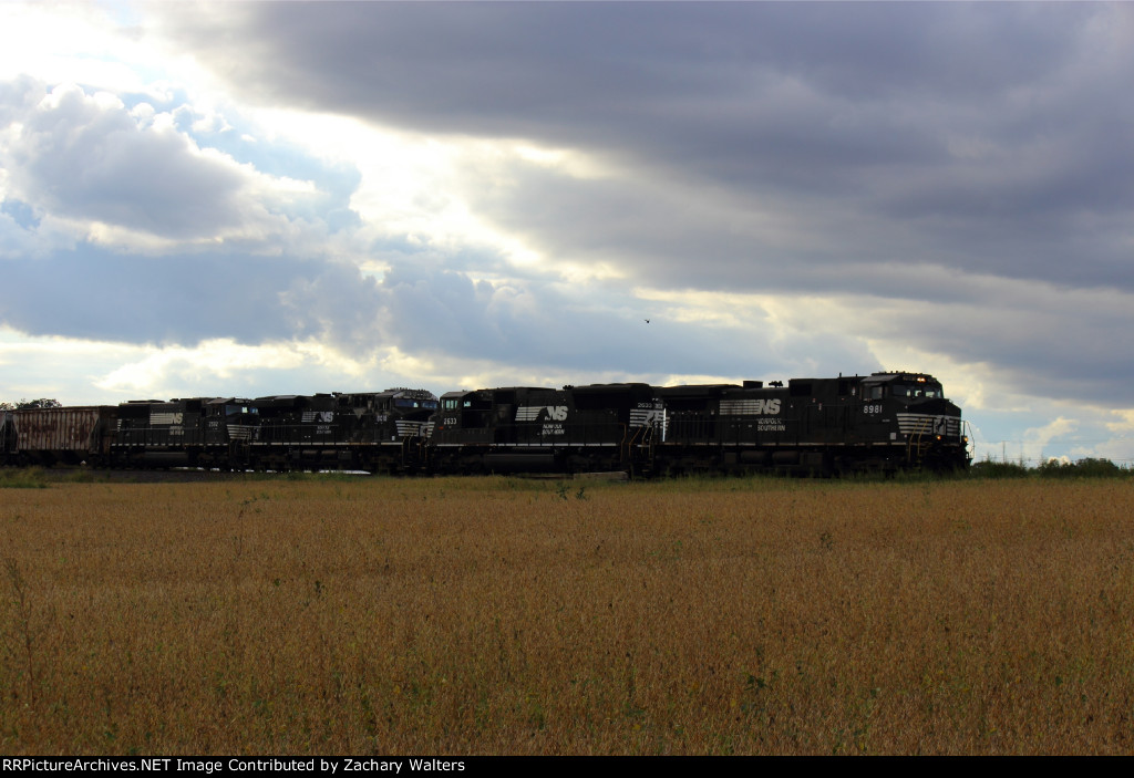 NS 8981 2633 8018 2582